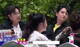 嘎嘎最新爆料新闻报道,揭秘娱乐圈惊人内幕